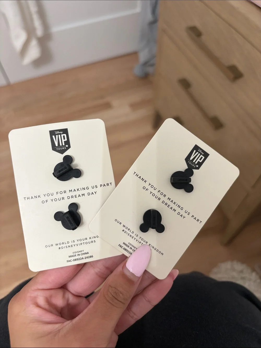 LIMITED Disney VIP Tours Exclusive Private Tour Pins Set of 2 Plaid Mickey Rare